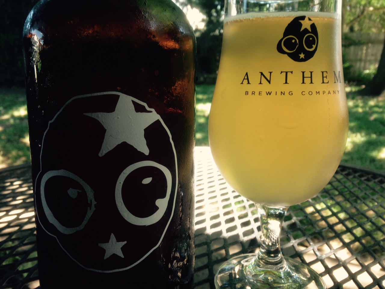 anthem_gose_closeup