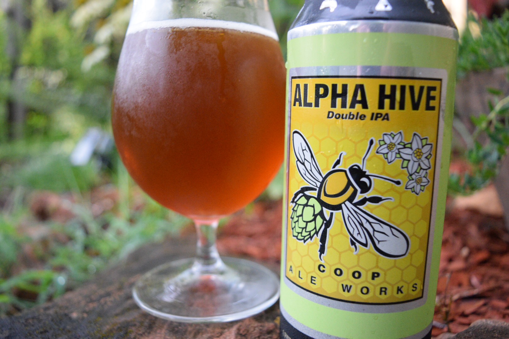 coop_alpha_hive_closeup