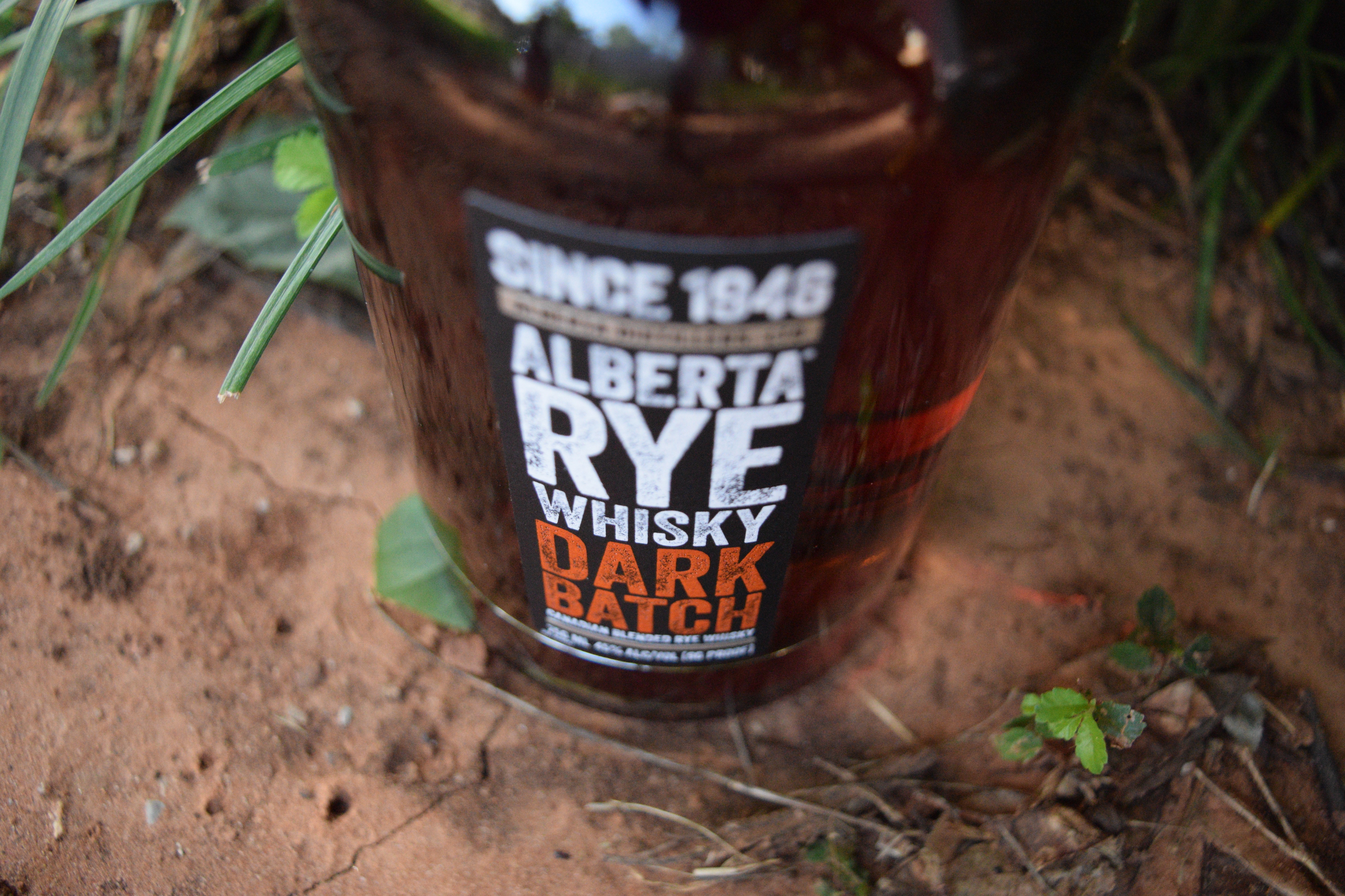 alberta_rye_closeup