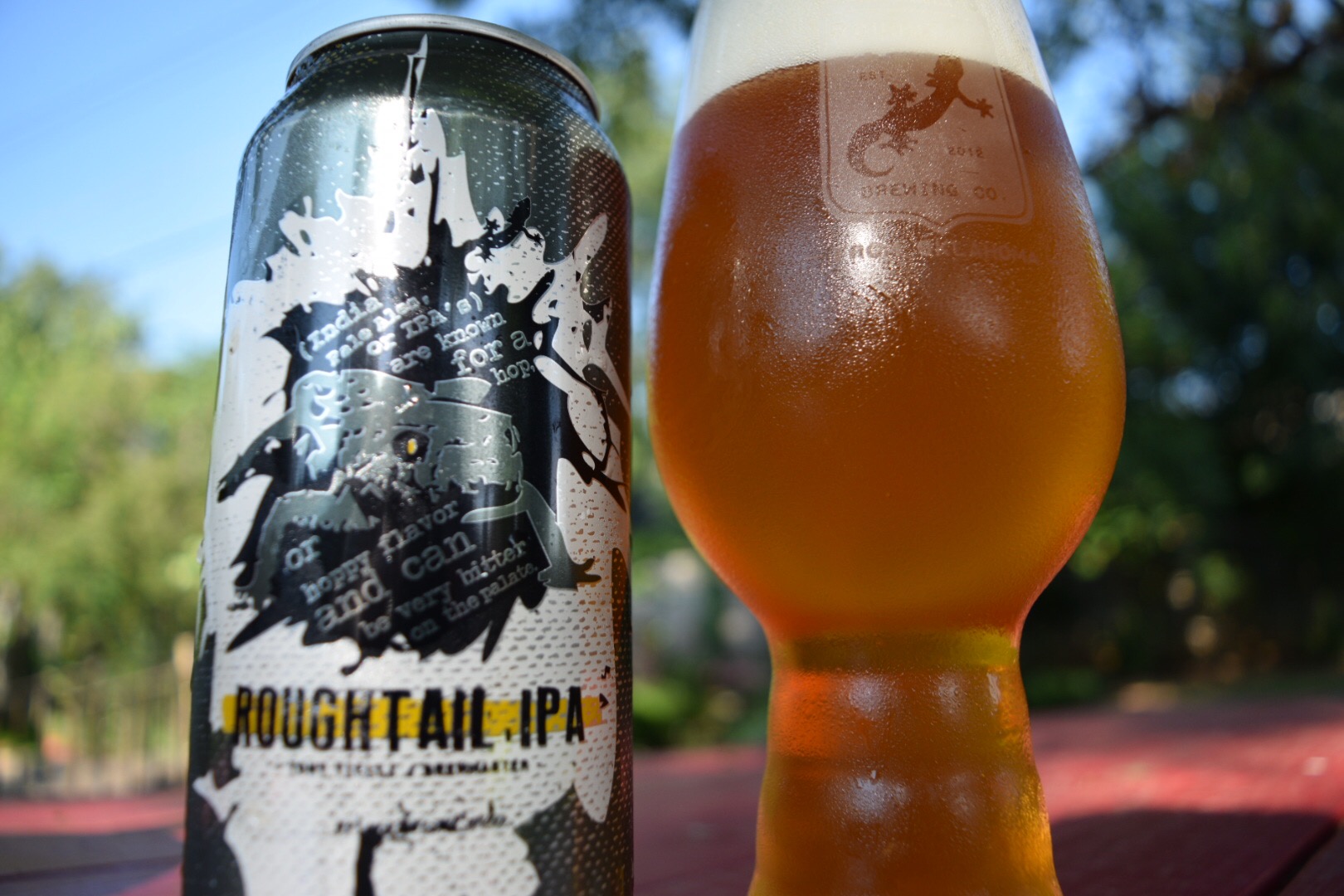 roughtail_ipa_closeup