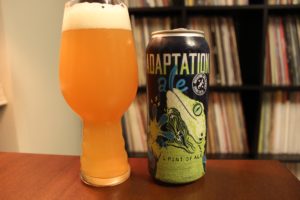 roughtail adapt 9